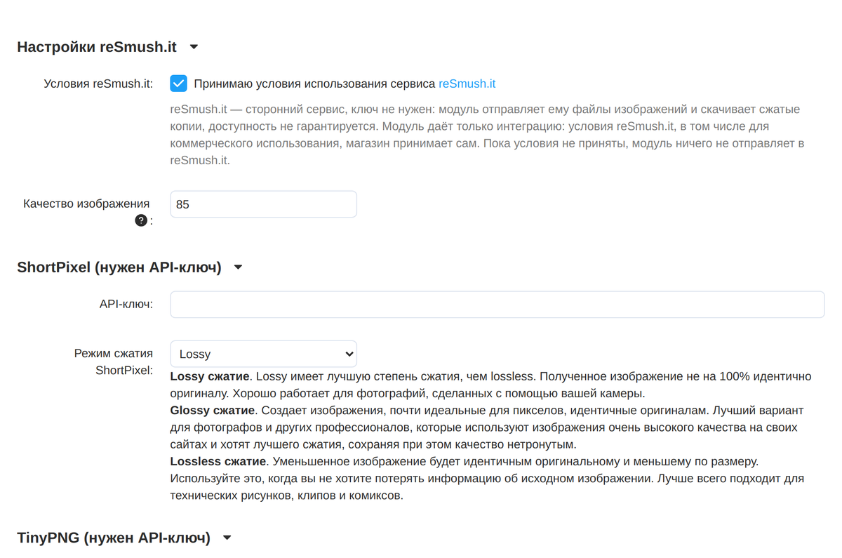 Настройки сервисов: согласие с условиями reSmush.it, ключ и режим ShortPixel, ключ TinyPNG.